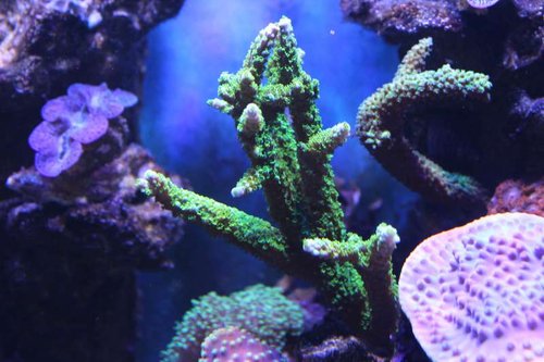 IMG_0518.JPG