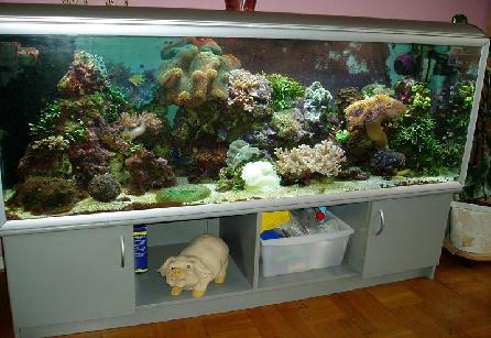 Lille opløsning.JPG