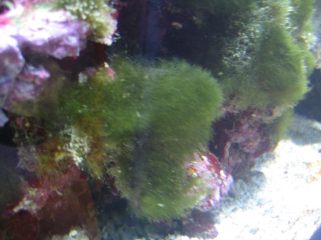 IMG_6152.JPG