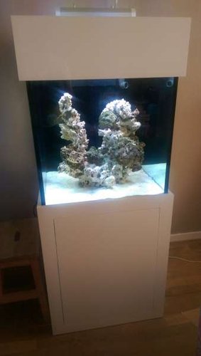 IMAG0678.jpg
