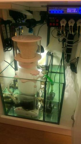 IMAG0679.jpg