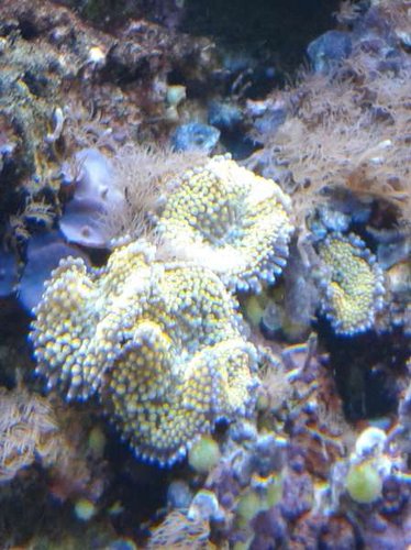 20150130_211840.jpg