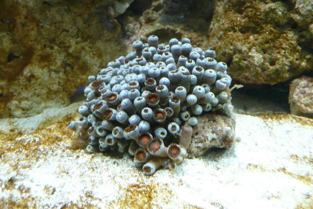 P1010959 (Small).JPG