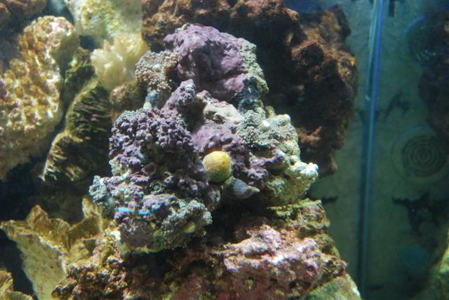 DSC_1983 (Small).JPG