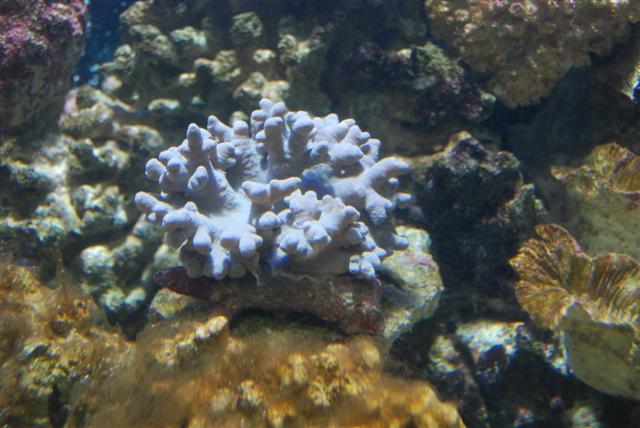 DSC_1980 (Small).JPG