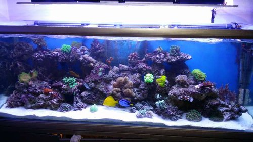 20150314_192705.jpg