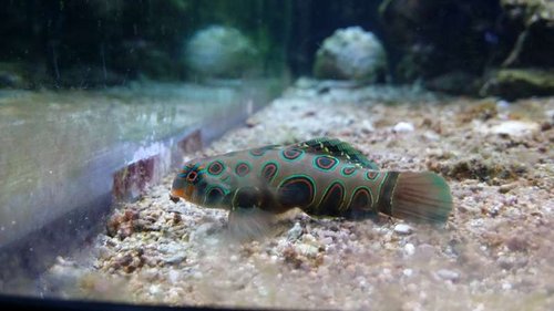 20150315_190812.jpg