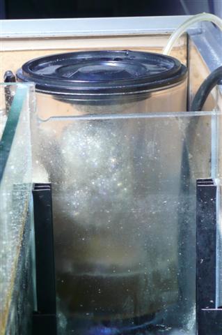 P1020080 (Small).JPG