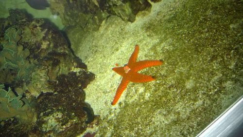 WP_20141026_004.jpg