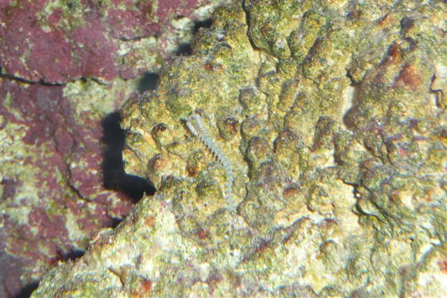 P1020098 (Small).JPG