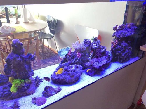 image.jpg (56.9 KiB) Vist 3199 gange Halvtotal.....