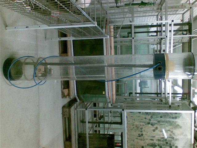 19102007 (Small).jpg