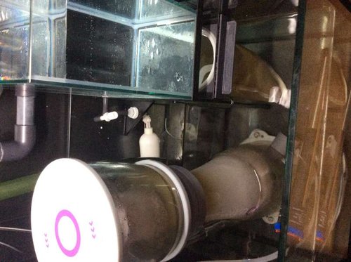 Posen er der hvor strippen stikker op.