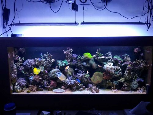 FTS