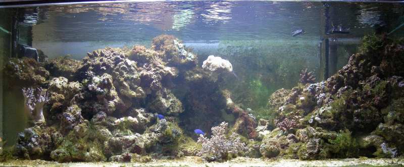 Helheds billedet0001_3.JPG