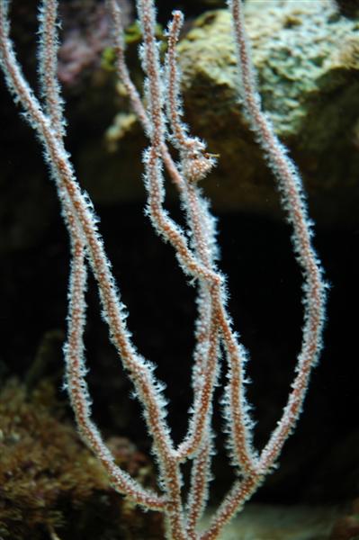 DSC_0832 (Medium).JPG