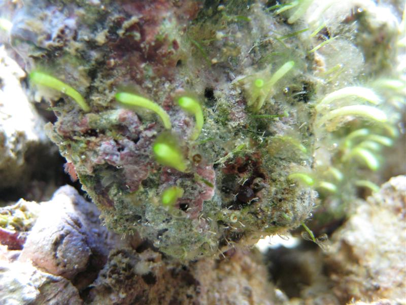 IMG_0570 (Medium).jpg