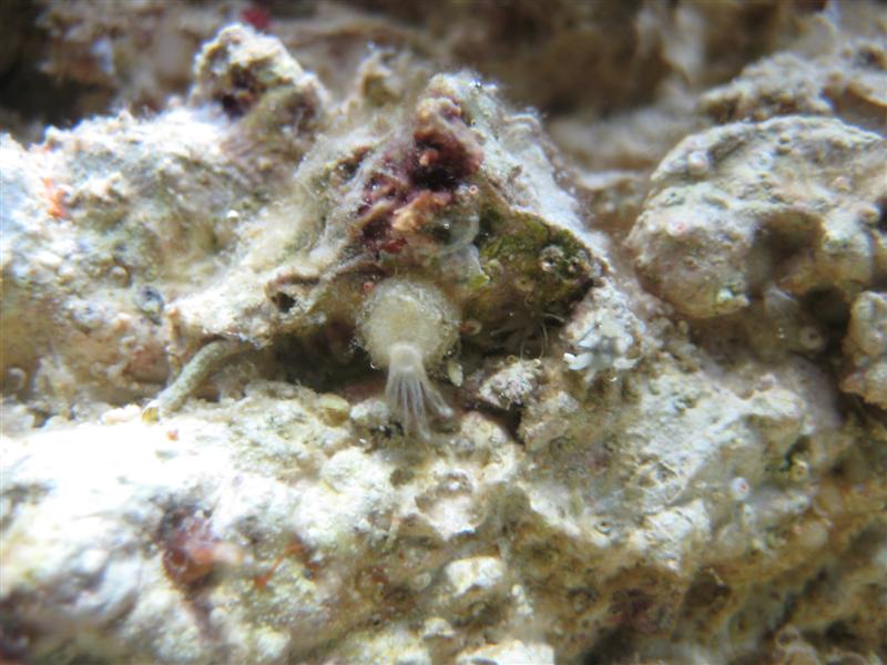 IMG_0568 (Medium).jpg