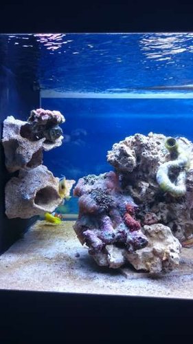 3.JPG (27.61 KiB) Vist 3451 gange Venstre side