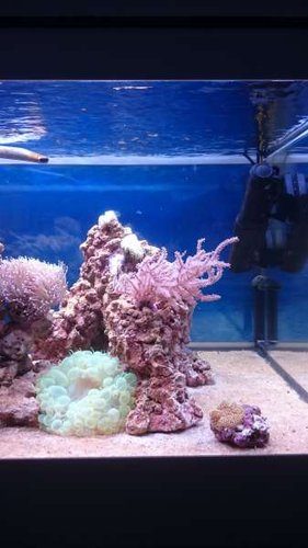 5.JPG (24.97 KiB) Vist 3451 gange Højre side