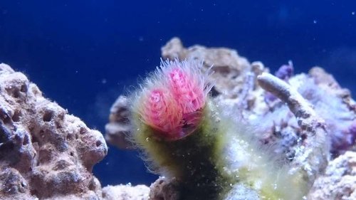 16.JPG (35.66 KiB) Vist 3451 gange Rørorm