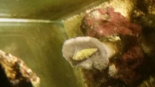20160413_003054.jpg