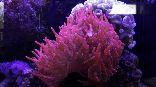 IMG_20160522_155947.jpg