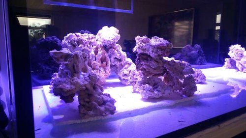 IMG_20160901_150307.jpg