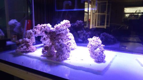 IMG_20160901_150318.jpg