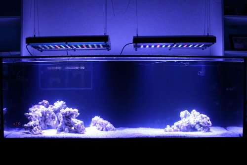 20161022IMG_FTS2.jpg