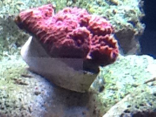 image.jpeg