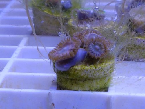 20170315_160028.jpg