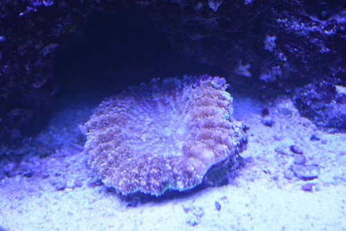 DSC_0546.JPG