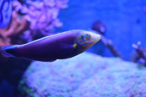 DSC_0555.JPG
