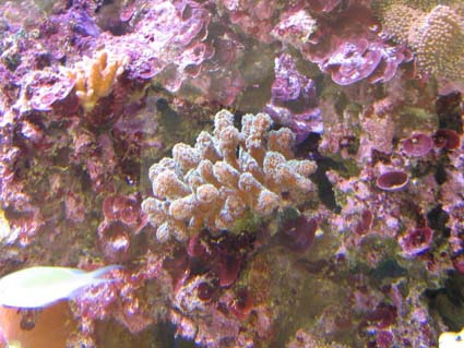 IMG_0749.JPG
