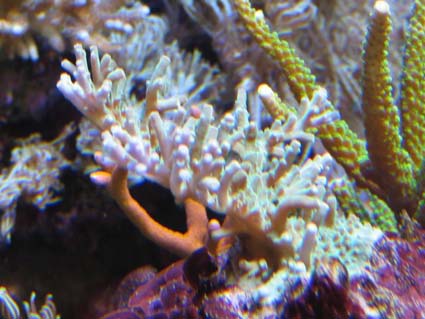 IMG_0758.JPG