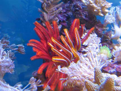 IMG_0757.JPG
