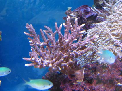 IMG_0755.JPG