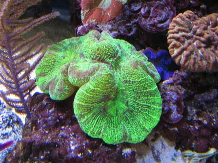 IMG_0754.JPG