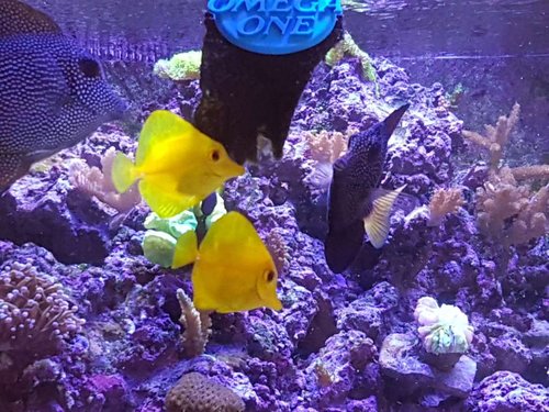 20180723_161521.jpg