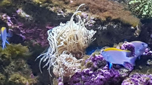 20181208_161732.jpg