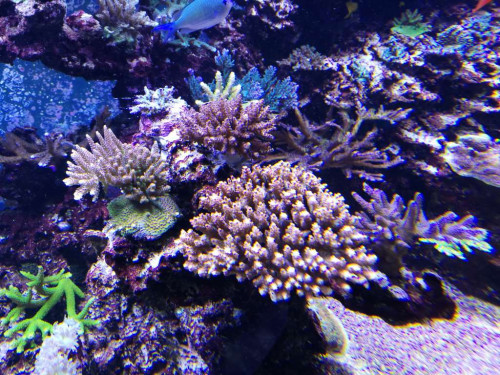 IMG_20180919_210702.jpg