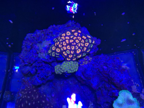 F0933794-1FE8-4D3C-AD28-23CE4D96343D.jpeg