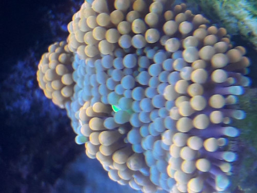 20191004_191205.jpg