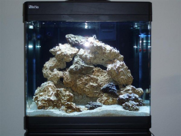 RSM kørt i 4 uger :)