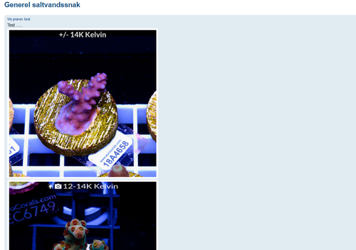 Nyt emne 6.png