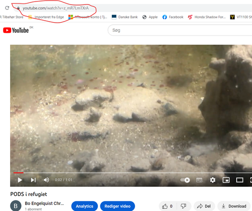 Video 2.png