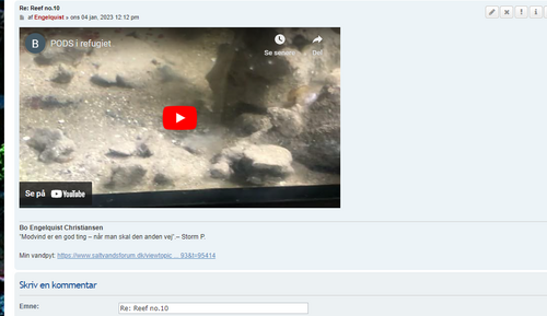 Video 4.png