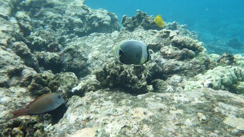 DSC03432.JPG