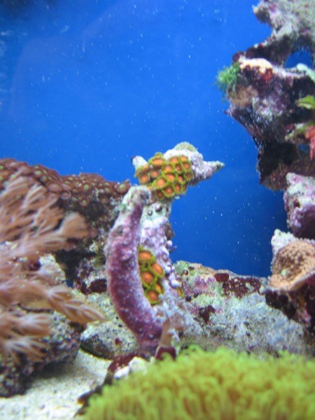 scaled.IMG_0014.JPG